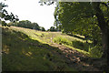 Footpath to Lower Lees