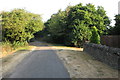 Footpath across the golf course