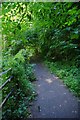 SO9283 : Footpath in Stevens Park, Wollescote, Stourbridge by P L Chadwick