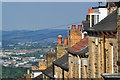 Roofs in Springvale Road with distant city view