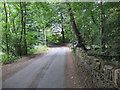 Blackergreen Lane between the A628 and Blacker Dam