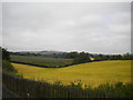 NU2311 : Field north east of Alnmouth station by Richard Vince