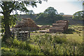 Logs ready for transportation