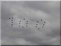 View of Typhoon FGR4s forming the 100 in the RAF 100 flypast from George Green