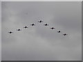 View of Red Arrows bringing up the rear of the RAF 100 flypast from George Green