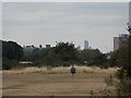 View of buildings in Forest Gate and Stratford from Aldersbrook Road