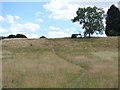 Path up Asket Hill