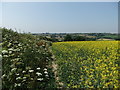 Fields near Trethem Mill