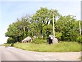 Ruin and bus shelter, The Kittles