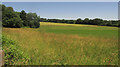 Farmland and woods, Oakley Farm