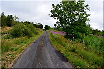 H3667 : Aghadulla Road by Kenneth  Allen