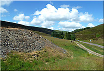 NS8815 : Leaving Leadhills by Mary and Angus Hogg