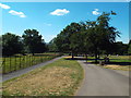 TQ2586 : Golders Hill Park, near Golders Green by Malc McDonald