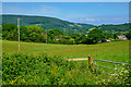 West Somerset : Countryside Scenery