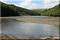 West Looe River