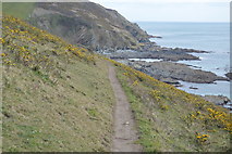 SX1750 : South West Coast Path, Lansallos Cliffs by N Chadwick
