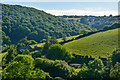 West Somerset : Countryside Scenery