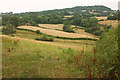 Valley below Hennock