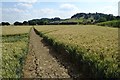 Footpath passing Leyfield Farm