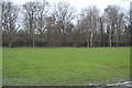 Tooting Common