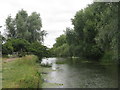 TL4355 : The River Cam at Grantchester Meadows by M J Richardson