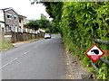 Hedgehog crossing area sign in the north of Deri