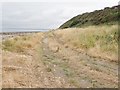 J1705 : View west along farm track on a raised beach in Castlecarragh TD by Eric Jones