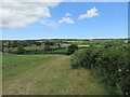 Path towards Harwood Dale