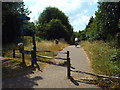 Forest Way Country Park, East Grinstead