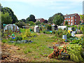 Allotments between Princess Road and the River Brit