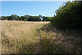 Path leading to Miles Hill, Leeds