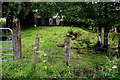 Ruined farmhouse, Glenknock or Cloghogle