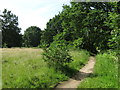 Path on Ditton Common