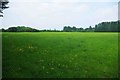 Field near Bampton, Oxon