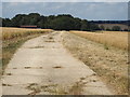 TQ4534 : Track across a field near Hartfield by Malc McDonald