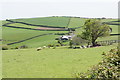 Sheep near Parsonage Farm