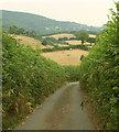 Farmland and lane southeast of Hennock