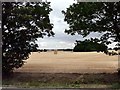 Harvested field to the east of Eastoft