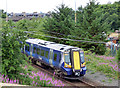 Train entering Fairlie