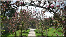 SU7283 : Greys Court gardens - apple arbour by Mark Percy