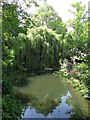 Off-shoot of the River Ember at the western end of Orchard Lane