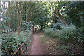 Viking Way towards Canwick Road, Lincoln