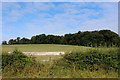 View towards Loach Field Wood