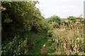 Path leading to Brant Road, Lincoln