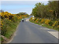 Steep climb out of Saddell