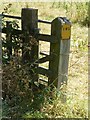 Gatepost with EWS sign, Mill Lane, Long Whatton