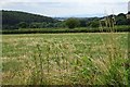 Farmland at Romsley