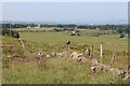 Old dyke over Bonnyton Moor