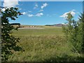 Fields near Bluefolds