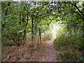 Steep Park Footpath